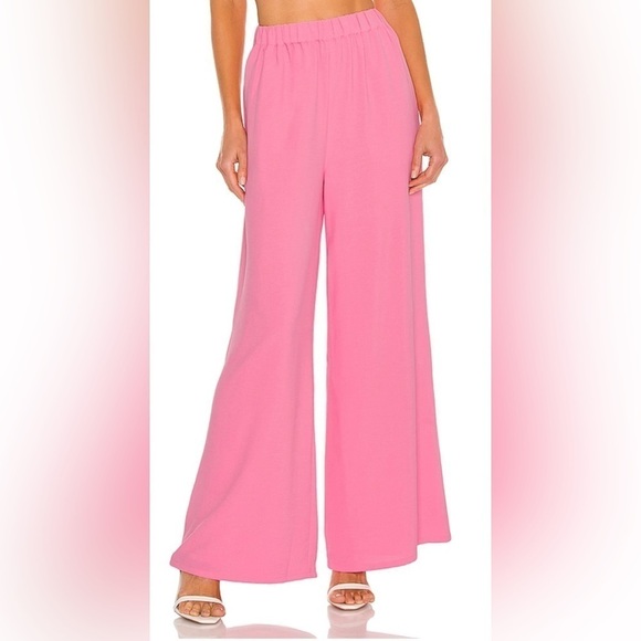 Camila Coelho Devon Pants Hot Pink Wide Leg Lined Elastic Waist Pockets M - Picture 1 of 10
